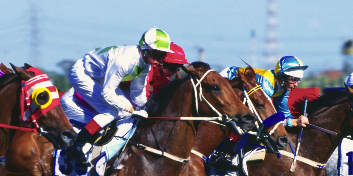 melbourne cup vip package at the normanby hotel